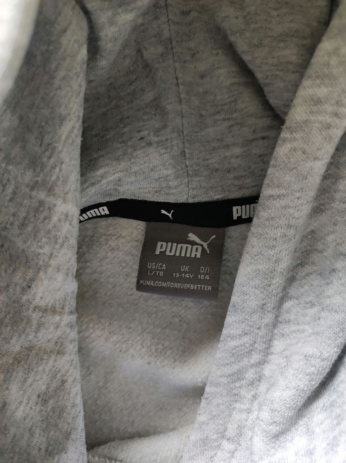 Pull puma - photo numéro 6