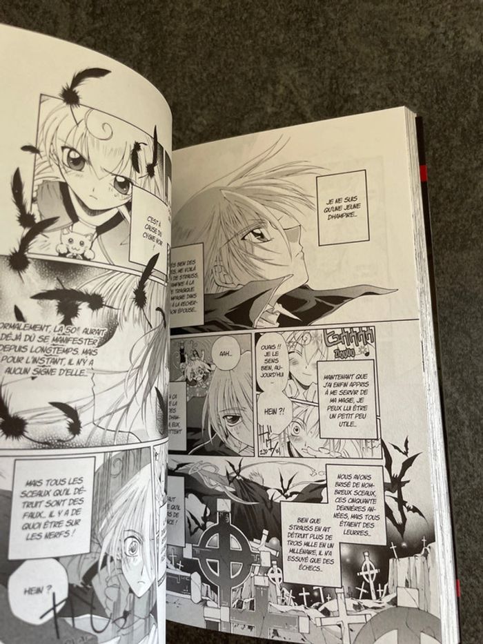 Manga Vampire chronicles - photo numéro 3