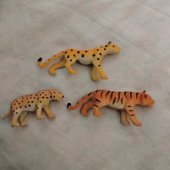 Animaux sauvages