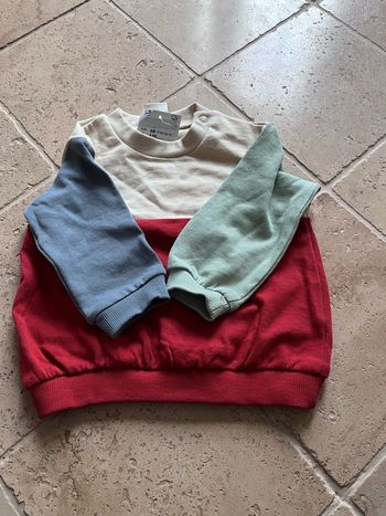 Pull de couleur