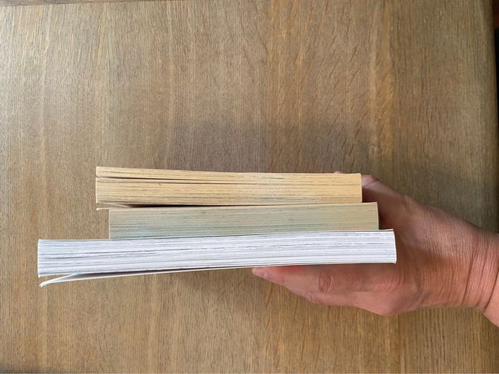 Tomes 1, 2 et 3 « Journal d’une peste » Virginie Sam & M.A. Abesdris - photo numéro 14