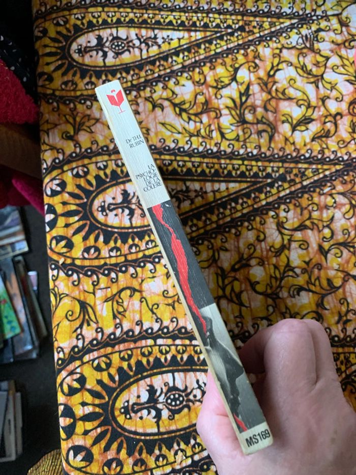 La psychologie de la colère - photo numéro 3