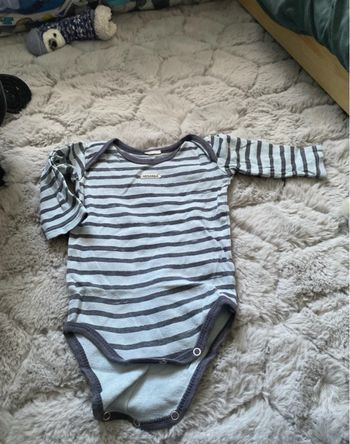 Lot Bodie absorba
