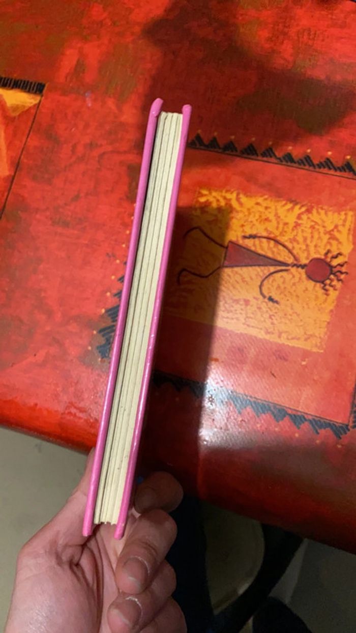 Livre barbie - photo numéro 4