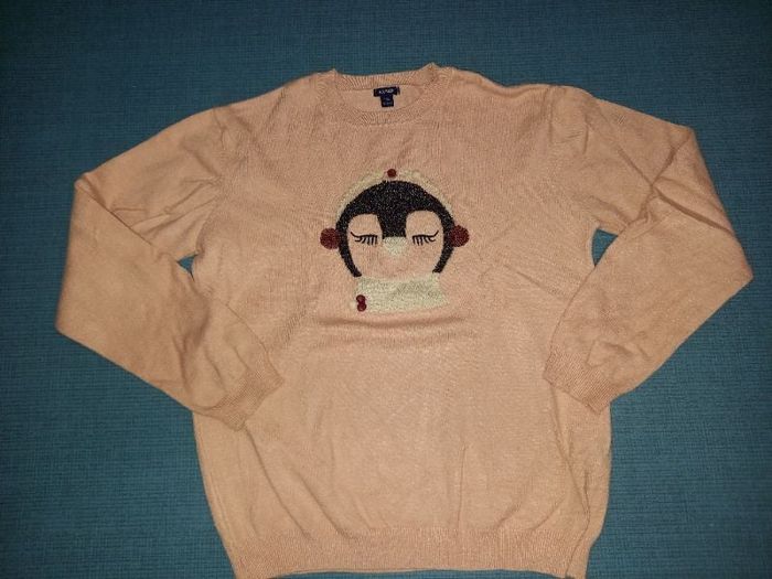 Pull pingouin 12 ans