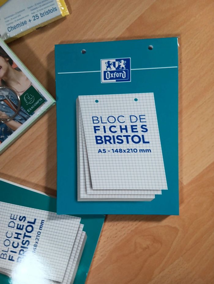 Lot fiches bristol pour révisions - photo numéro 6