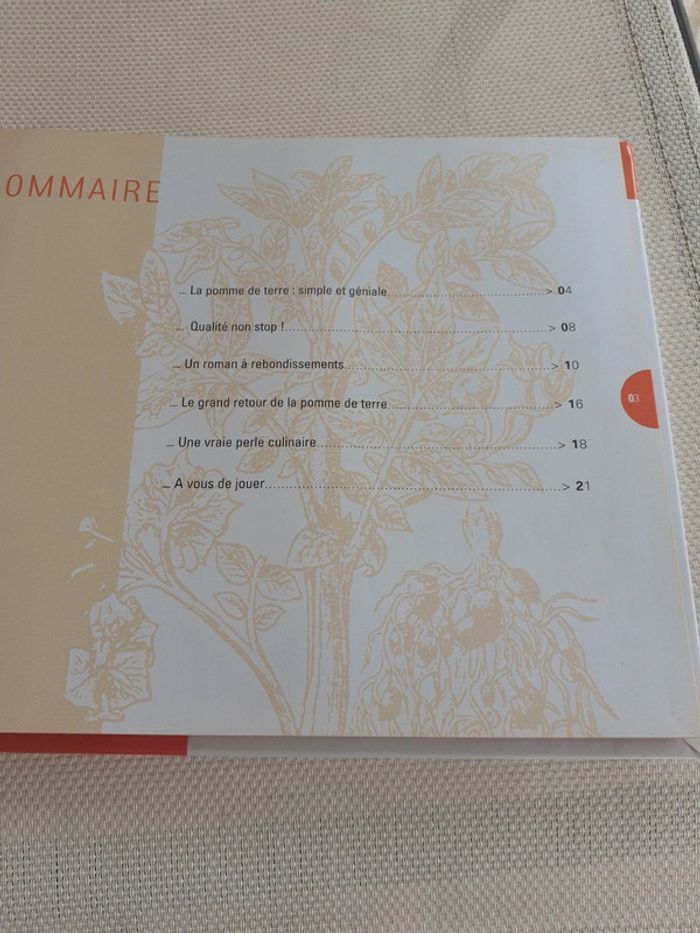 Pomme de terre d'hier et d'aujourd'hui - photo numéro 3