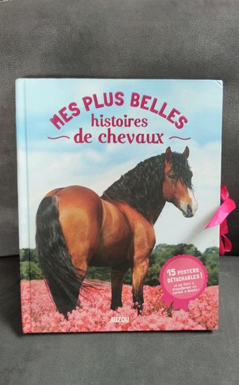 Livre posters mes plus belles histoires de chevaux