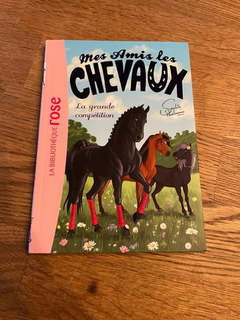 Livre La bibliothèque Rose Mes amis les chevaux La grande compétition Numéro 2