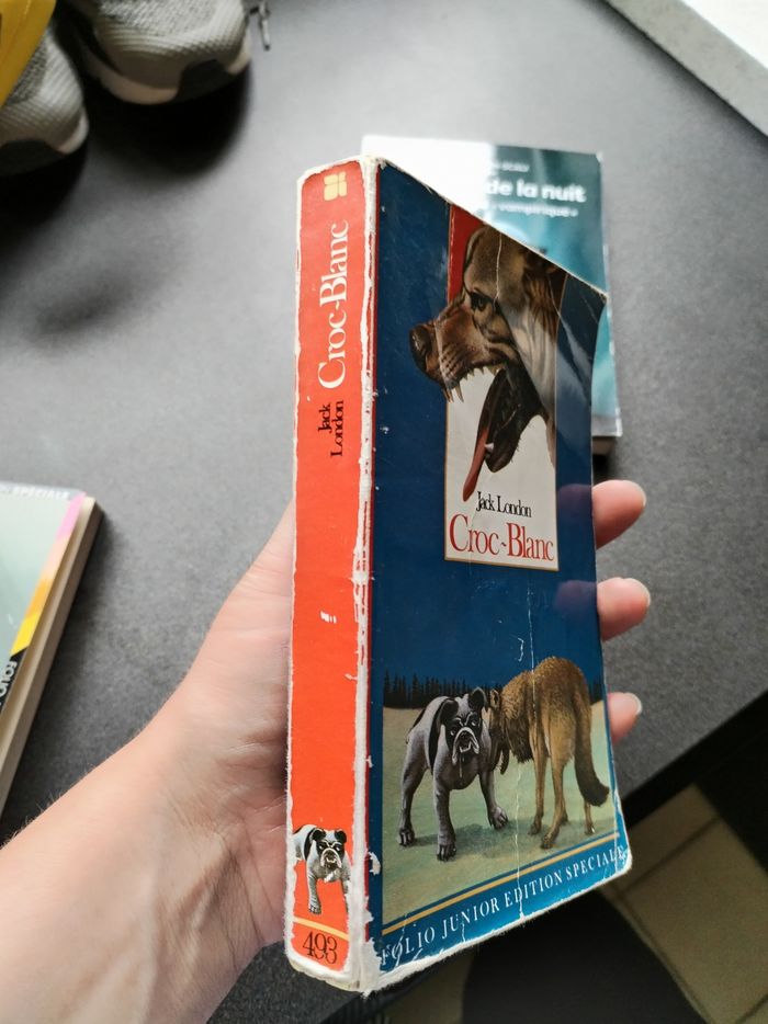Lot livres ado collège - photo numéro 6