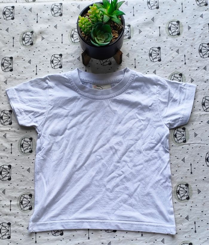 Lot tee-shirt taille 18 mois - photo numéro 6