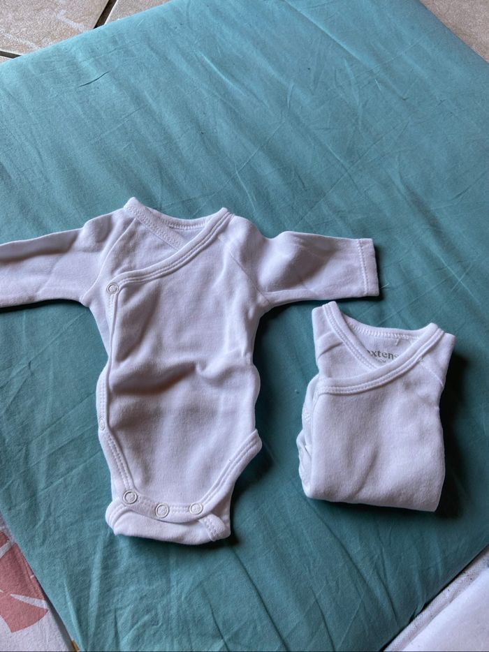 Bodies