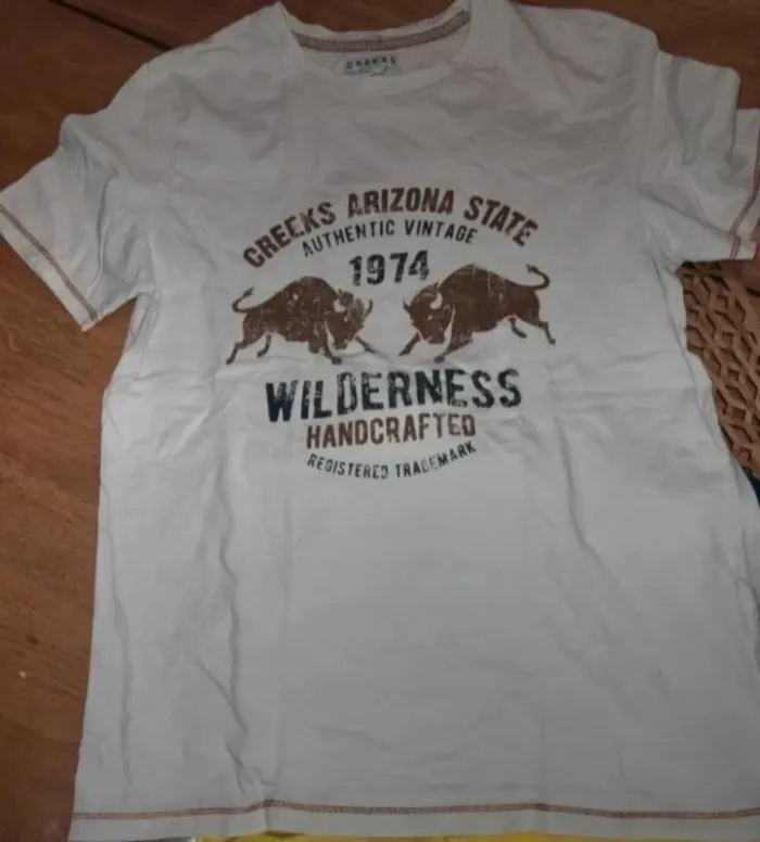 Lot 6 Tee-shirt homme M - photo numéro 7