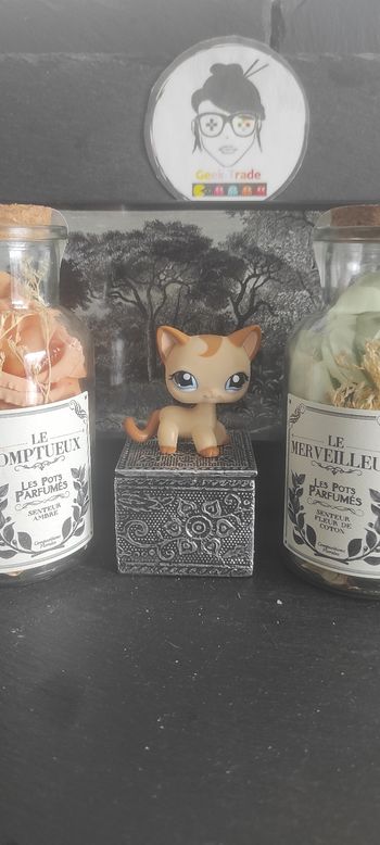 Littlest Petshop Pet Shop LPS Authentic  Authentique cat Shorthair European 1024