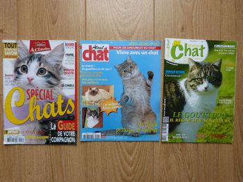 3 Magazines sur les Chats