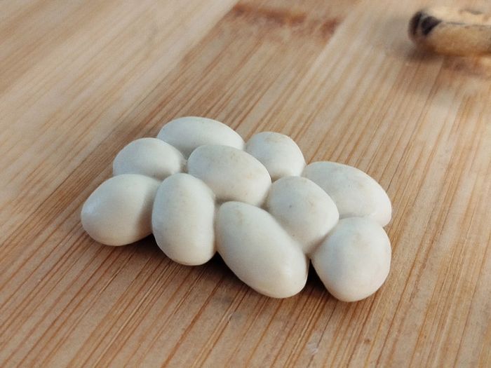 Figurine cycle de vie du serpent - photo numéro 2