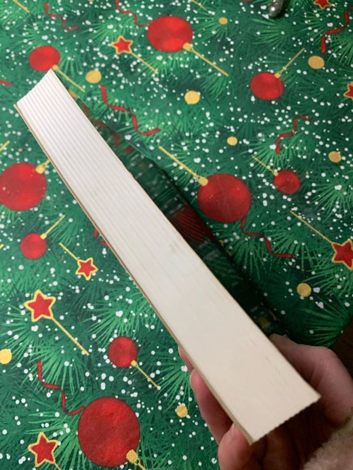 Pendragon 4 - photo numéro 4