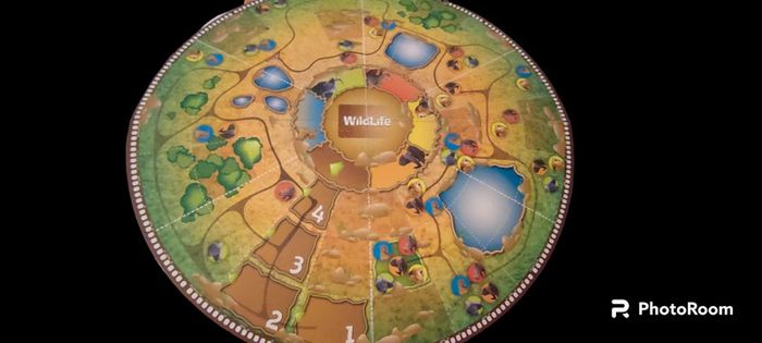 Jeu de société avec dvd - photo numéro 3