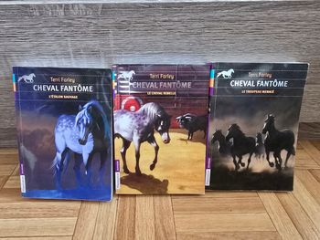 Livre "Cheval fantôme"