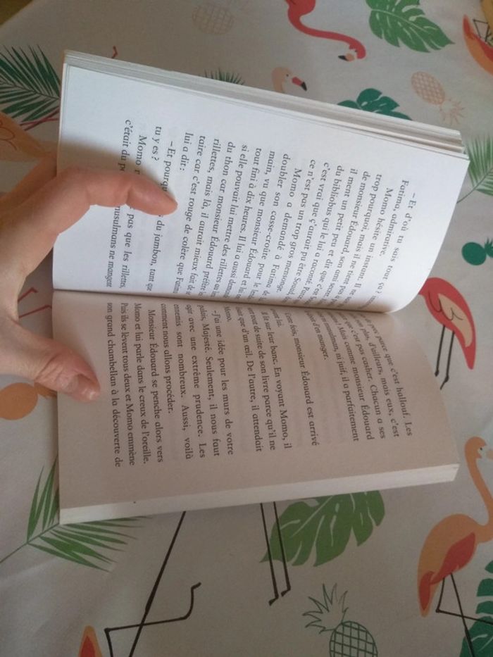 Livre Momo, petit prince des Bleuets - photo numéro 7