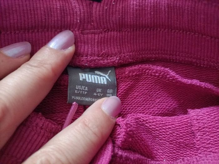 Short puma - photo numéro 3