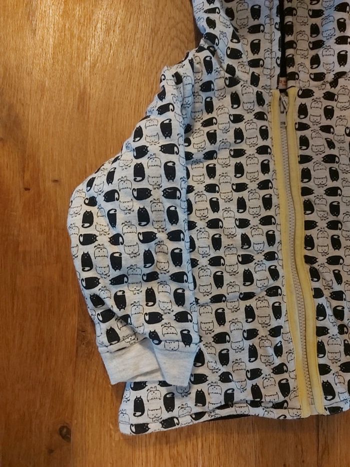 Veste mi saison chat - photo numéro 2
