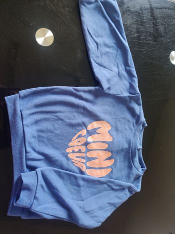 Pull molletonné 4 ans