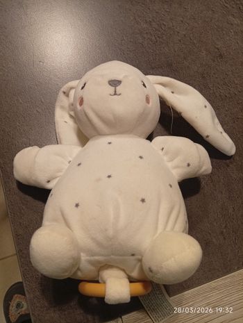 Peluche musicale 