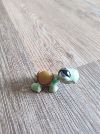 Littlelest pet shop tortue