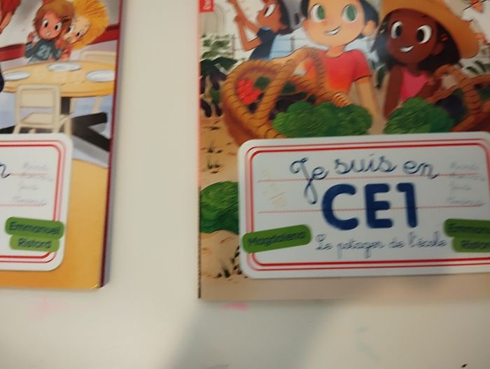 Livre cp-ce1 - photo numéro 2