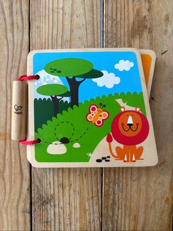 Livre en bois Hape