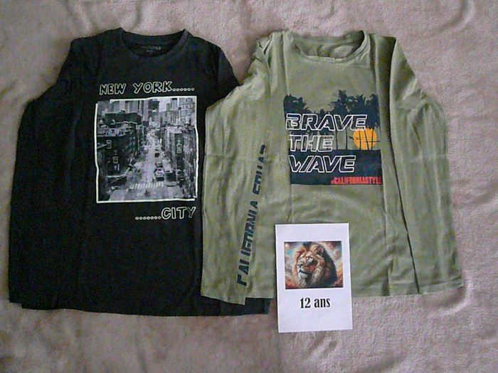 Lot de 2 tee-shirts 12 ans (n°2)