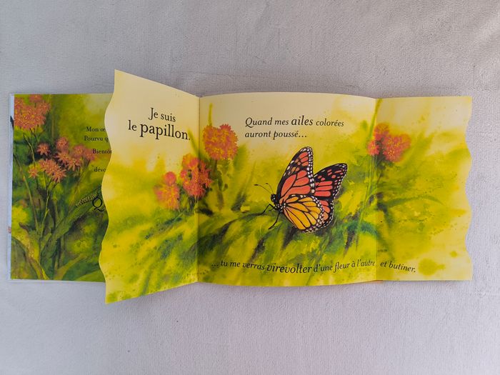 Livre À qui est cet œuf ? - photo numéro 5