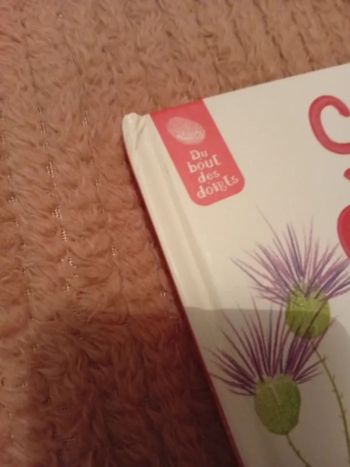 Livre Ça gratte - photo numéro 3