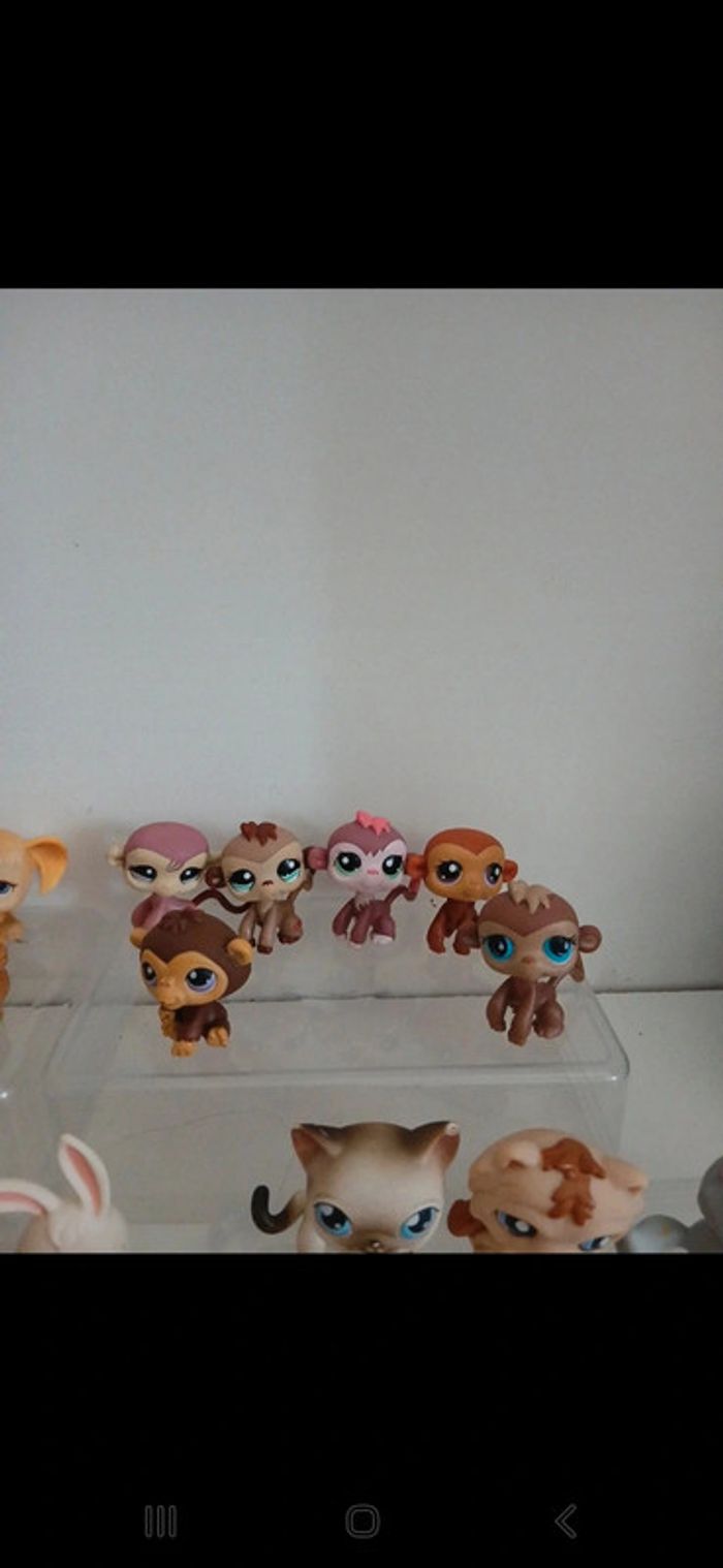 Littlest petshop - photo numéro 3