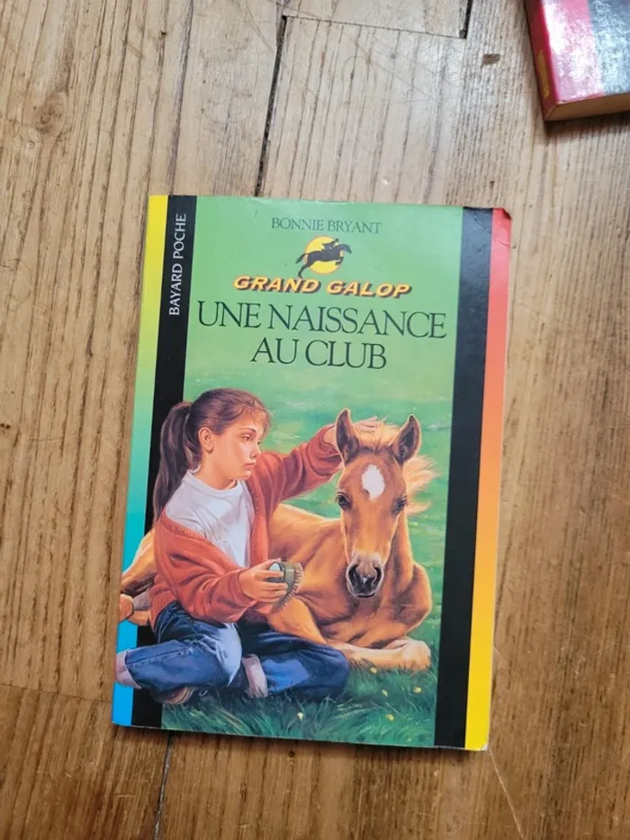 Lot 4 livres de la série Grand Galop - photo numéro 5