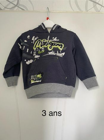 Pull à capuche 3 ans