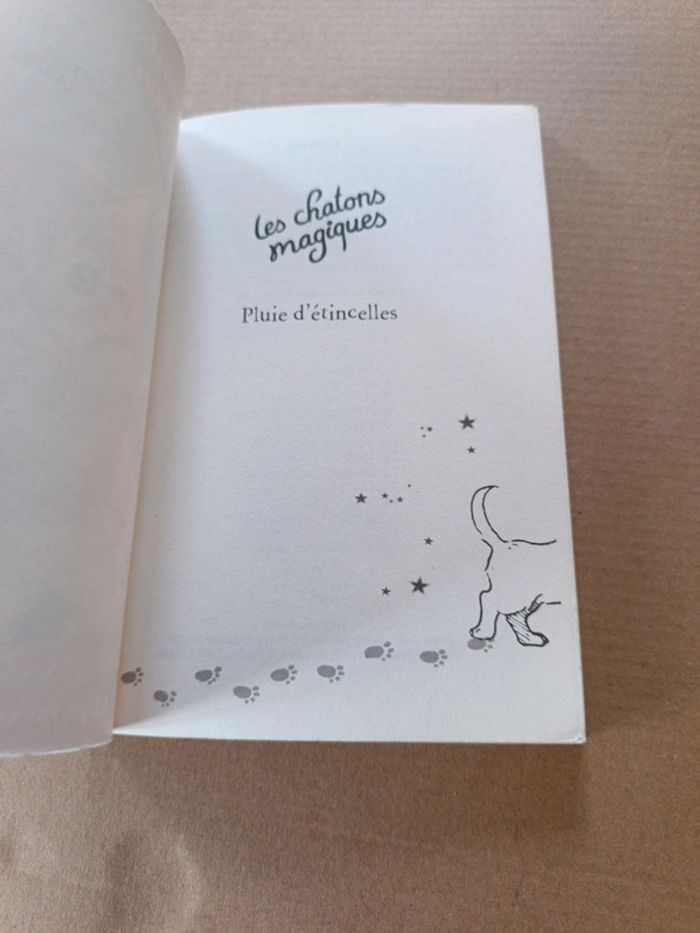 Les chatons magiques. Pluie d'étincelles - photo numéro 3