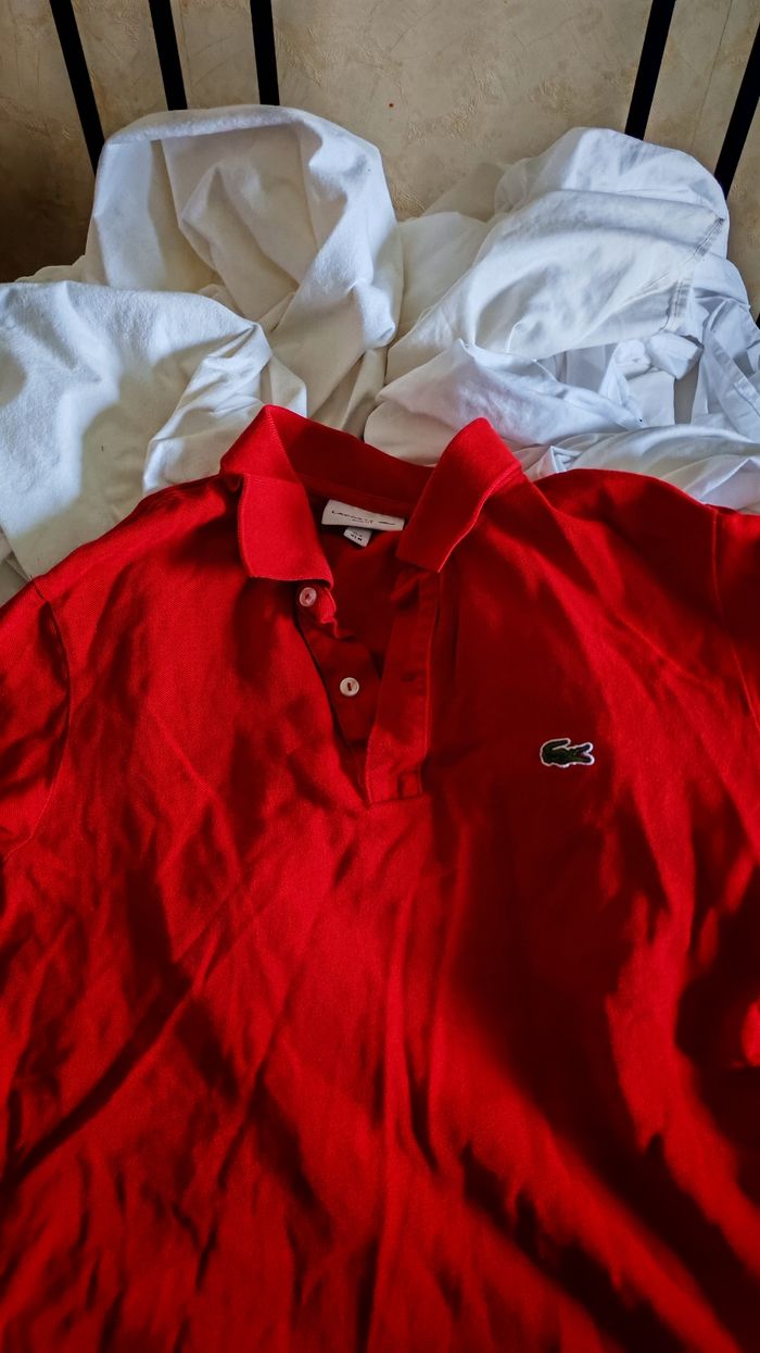 Polo homme Lacoste - photo numéro 2