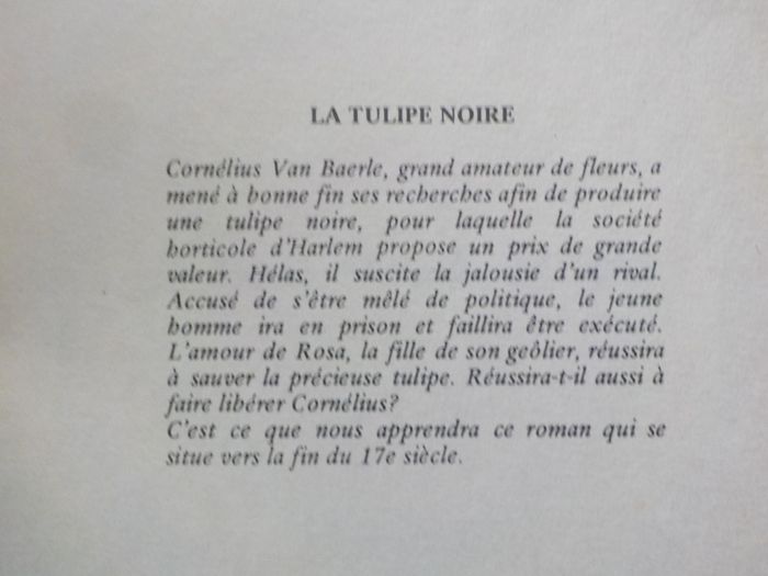 LA TULIPE NOIRE d après Alexandre DUMAS Ed HEMMA - photo numéro 2