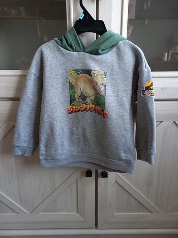 Sweat à capuche garçon jurassic world