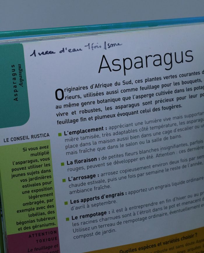 livre les plantes d'intérieur de A à Z - photo numéro 4