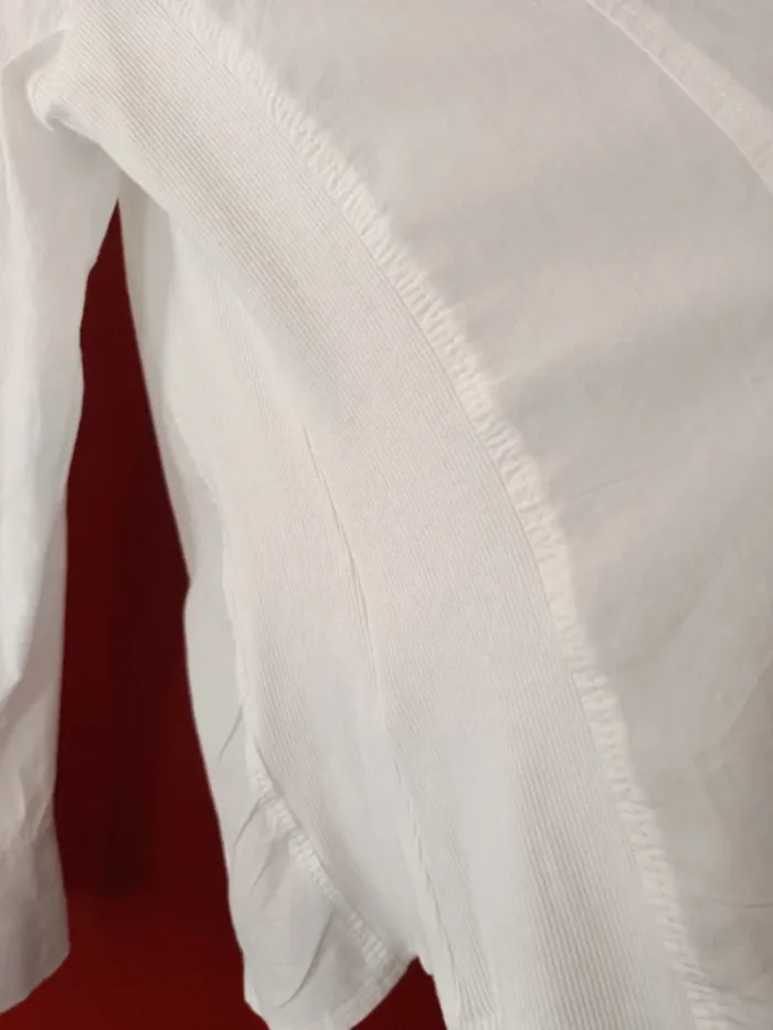 Chemise Peter Hahn t.44 100% coton - photo numéro 7