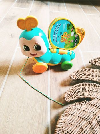 🦋Jeu éducatif - Livre interactif Rouli papillon sons et lumières - marque Vtech