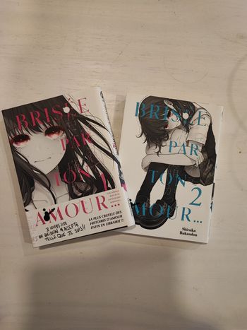 Manga " Brisée par l'amour"