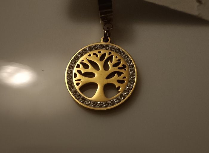 Boucles d'oreilles acier inoxydable plaqué or - photo numéro 4