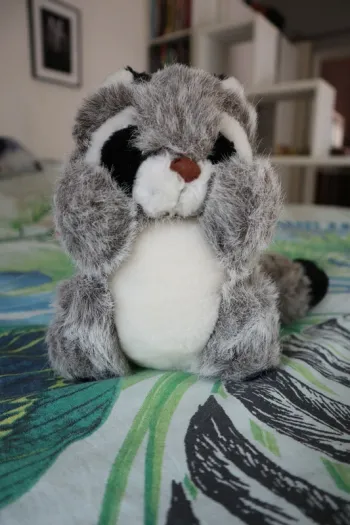 Peluche raton laveur