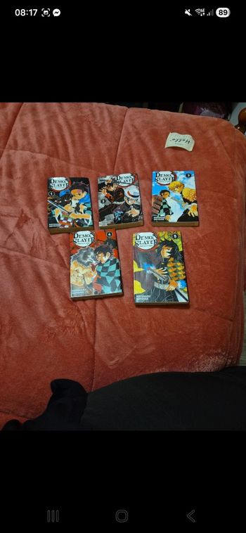Demon Slayer 1 a 5 