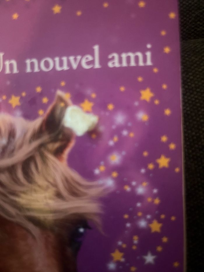 Les poneys magiques tome 1 un nouvel ami - photo numéro 3