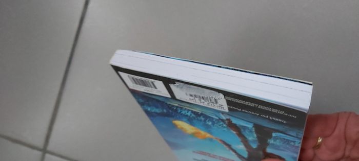 Dragons - photo numéro 6